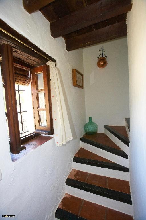 Hotel Enrique Calvillo Эль-Боске Номер фото