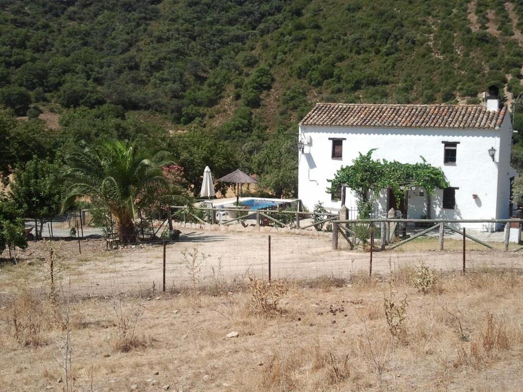 Hotel Enrique Calvillo Эль-Боске Номер фото